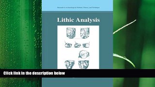 behold  Lithic Analysis (Manuals in Archaeological Method, Theory and Technique)