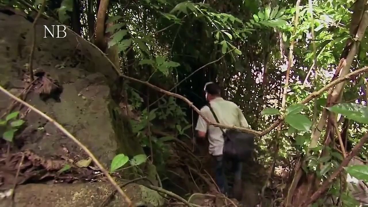 Desafios Mortais: Ep. A grande Piton