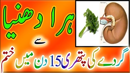 Hara dhania say Gurdey ki Pathri ka ilaj in Urdu.ہرا دھنیےسے گردے کی پتھری کا 15 دن میں خاتمہ