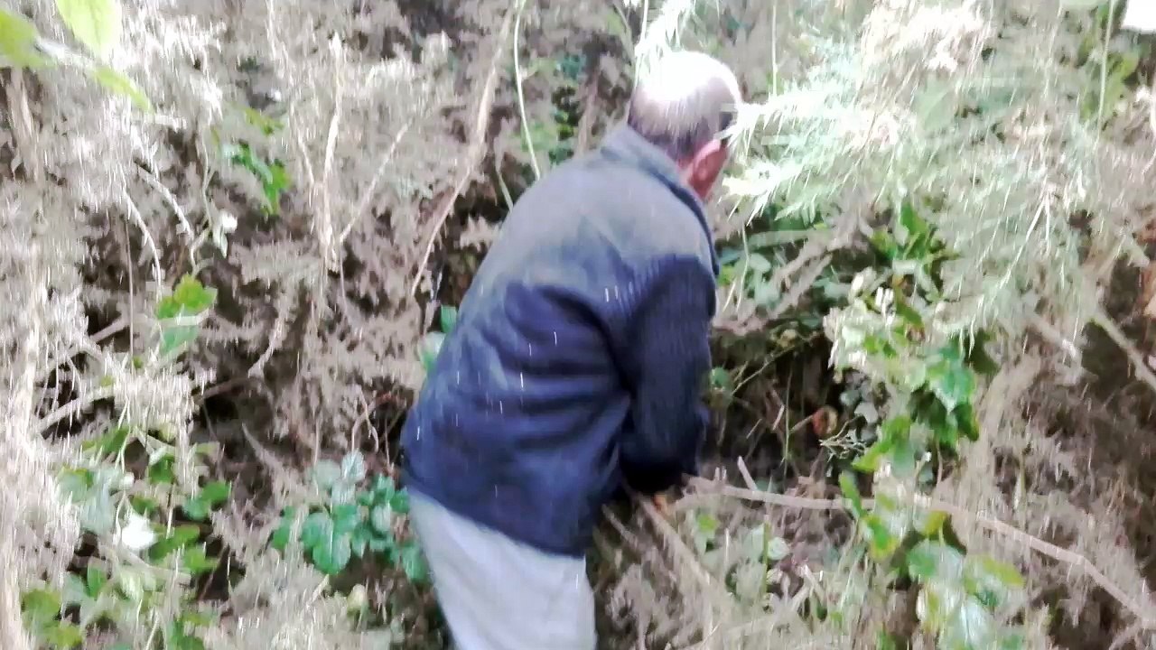 Massacre à la tronçonneuse