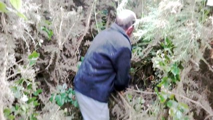 Massacre à la tronçonneuse