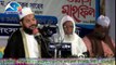 Mawlana Kamrul Islam Sayeed Ansari - (part-1) - পরগনাহী দৌলতপুর আলিম মাদরাসা - বাংলা ওয়াজ - Bangla Waz