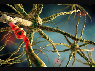 Brain-like computers may now be realistic