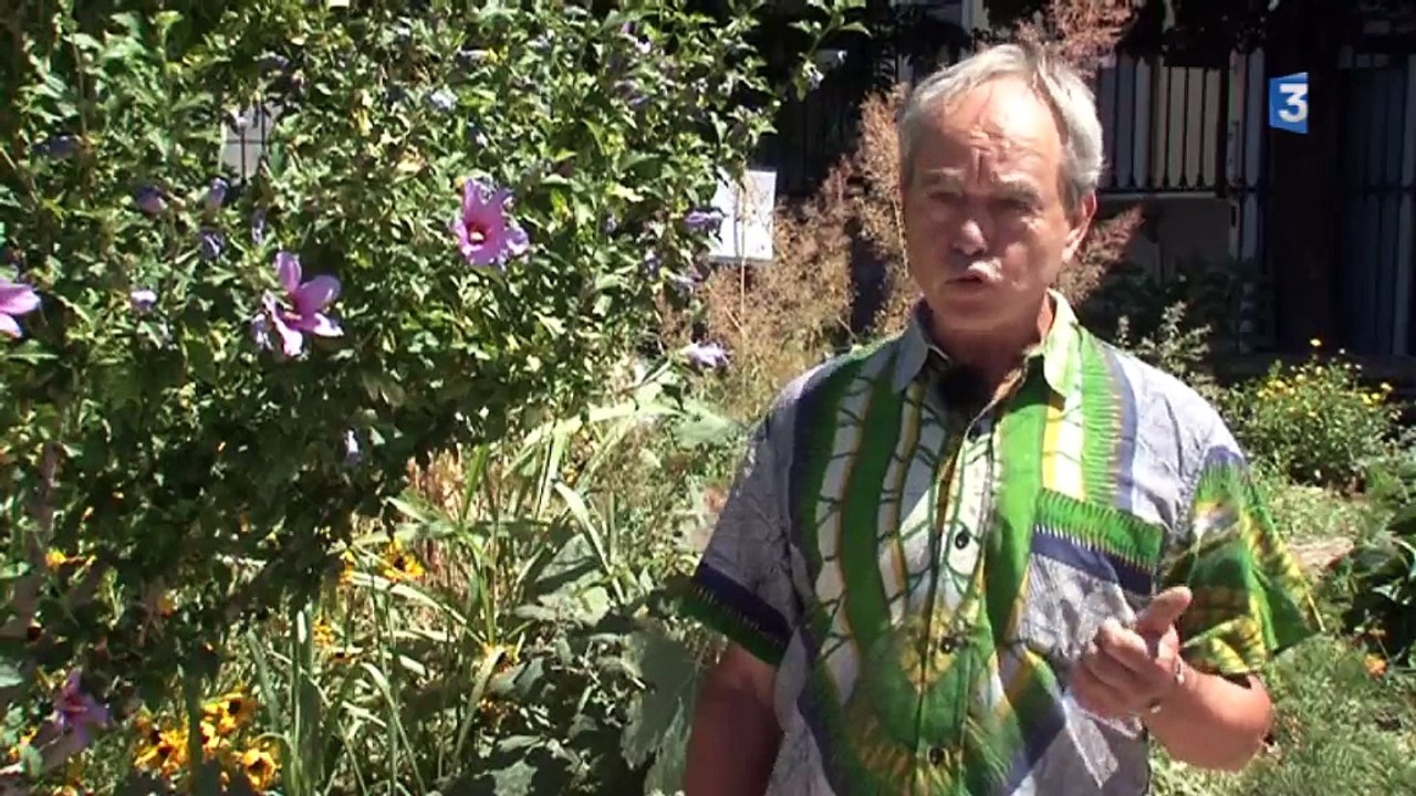 Gar'den-Aix-en-Provence un jardin pousse au coeur d'une gare - Franc