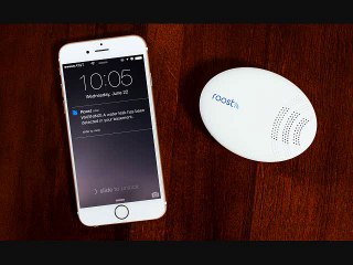 Roost's smart water detector monitors your home's wet spots