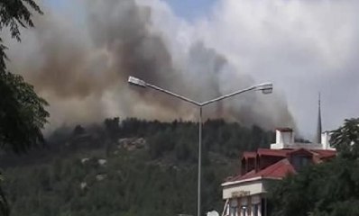 Pendik'te orman yangını... İlk görüntüler