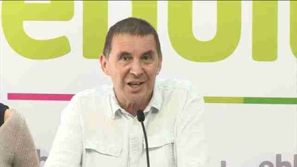 Otegi dice que no está "por encima de la Ley", sino que "algunos tienen un sentido de la democracia desnaturalizado"