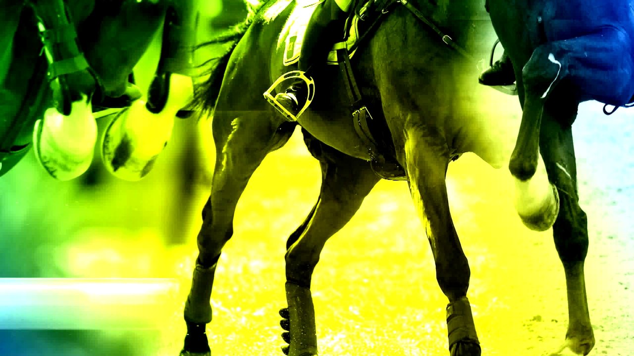 A la cadence de Rio, avec Equidia - #3