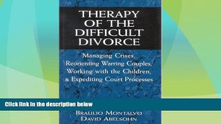 Must Have  Therapy of the Difficult Divorce: Managing Crises, Reorienting Warring Couples, Working