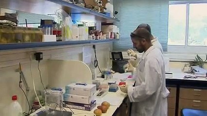 Potato battery new and improved Video Reuters