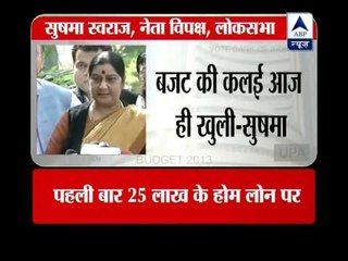Sushma Swaraj slams Union Budget
