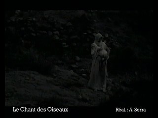 Le chant des oiseaux - Ext 5
