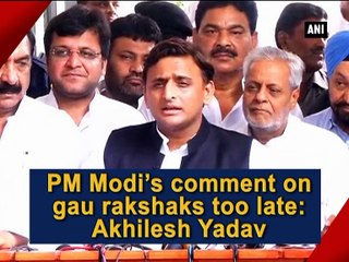 PM Modi's comment on gau rakshaks too late: Akhilesh Yadav
