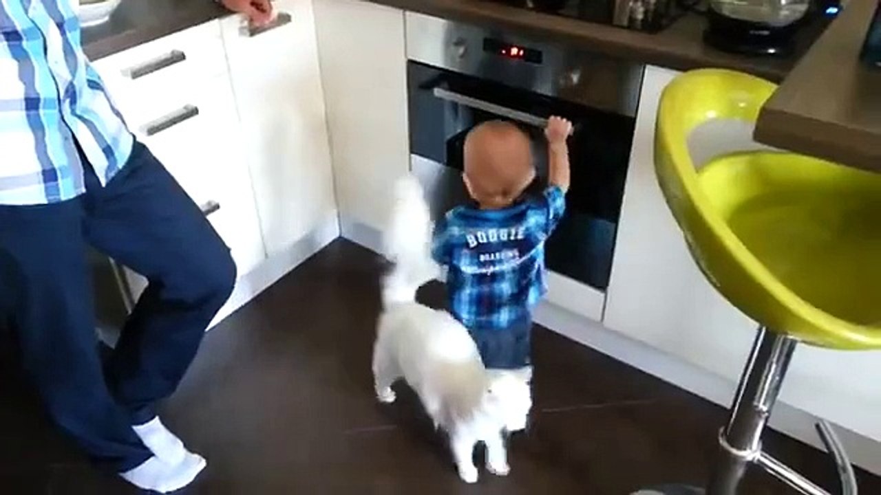 Un bébé est sur le point de mettre sa main dans un four. L'intervention du chat au dernier moment, est à saluer
