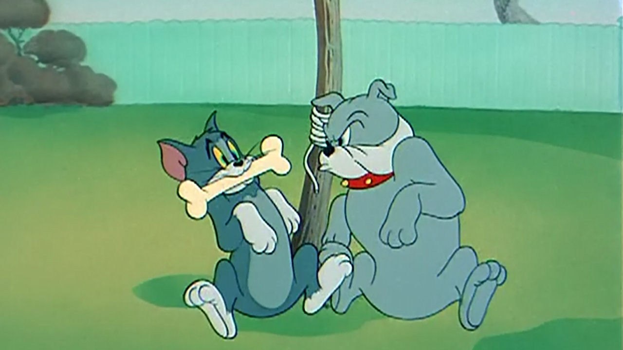 Tom And Jerry Cartoon Full Dog Episodes 2016 video Dailymotion