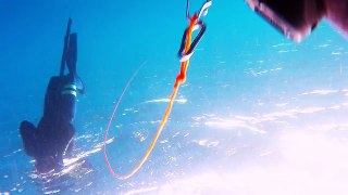 Spearfishing Martinique - (RAW Footage) - Spanish Mackerel