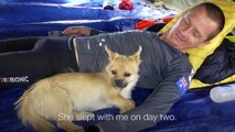 Un marathonien devient ami avec ... une chienne errante en plein désert