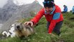 Des randonneurs se lient d'amitié avec des marmottes dans les Alpes Suisses