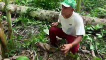 خطايا في حق البيئة ـ  كفاح راهب لحماية غابات الأمازون | العقيدة والحياة