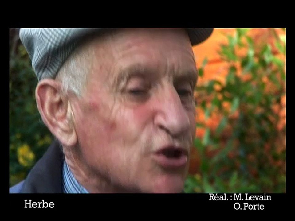 Herbe