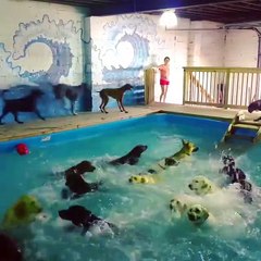 C'est l'heure du bain !