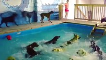 C'est l'heure du bain !