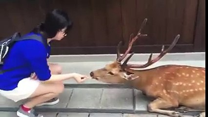 Teşekkürü belkide onlar bize öğremiştir