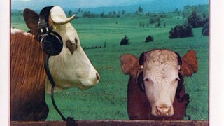 Thunder - Headphones For Cows - 06 - We Got All Night