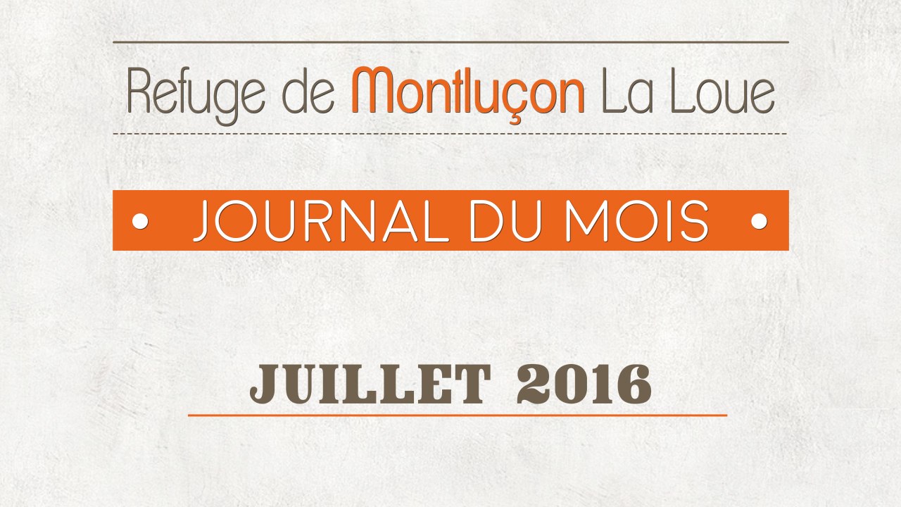 Un mois au refuge : juillet 2016