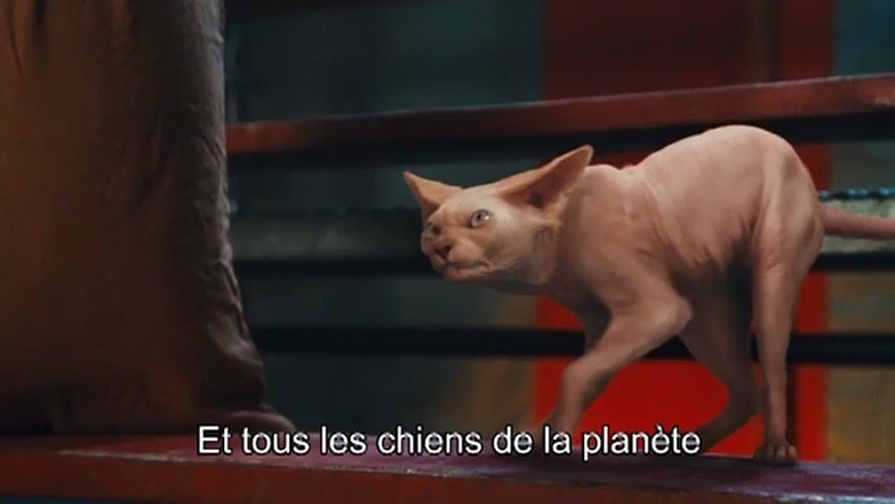Comme chiens et chats : La revanche de Kitty Ga...