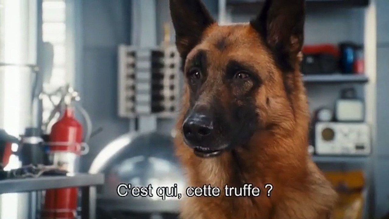 Comme chiens et chats : La revanche de Kitty Ga...