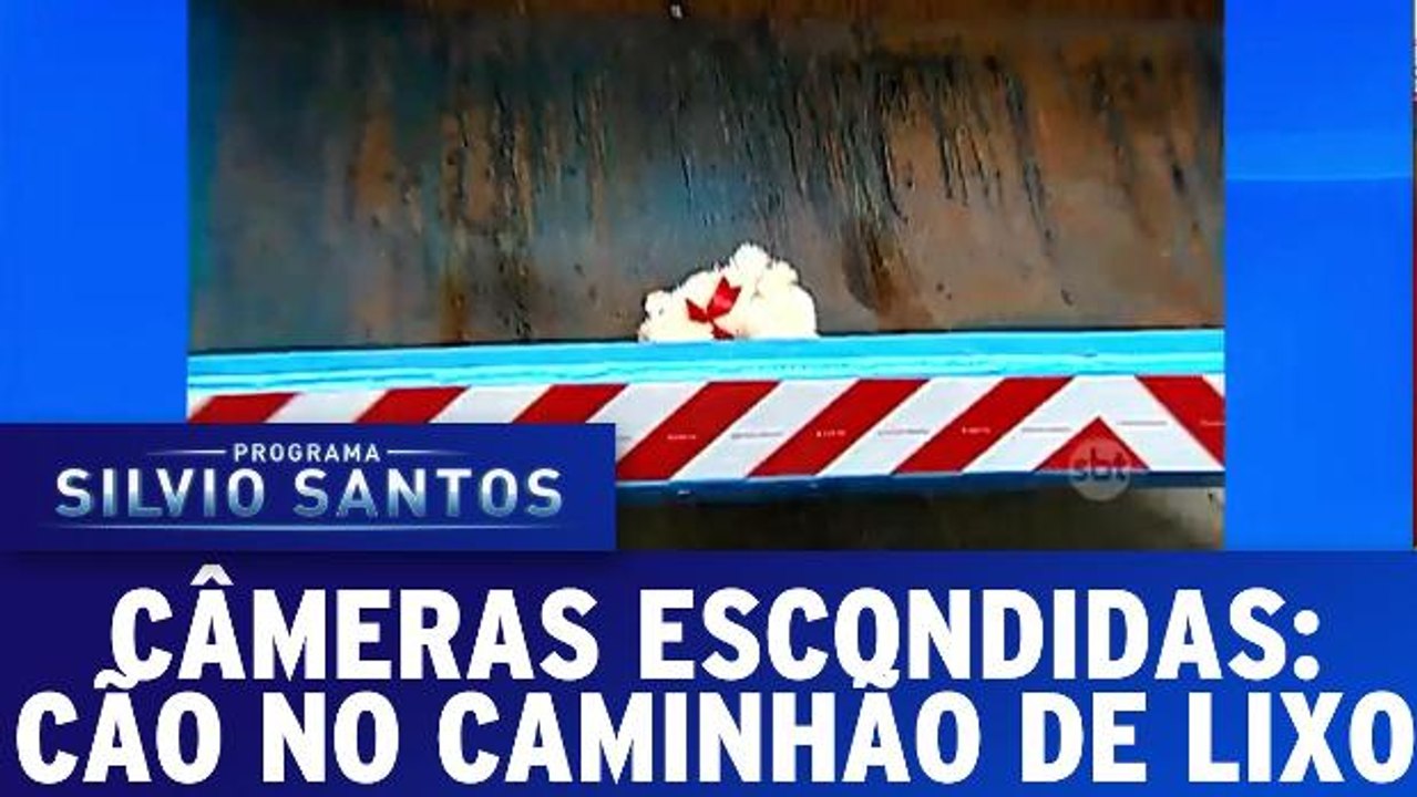 Câmeras Escondidas: Cachorro no caminhão de lixo