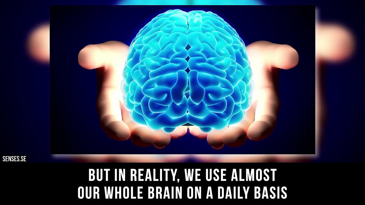 10 Lies About The Human Body You Shouldn't Believe