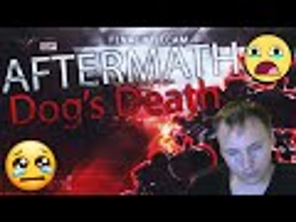 Afermath of Dog's Death