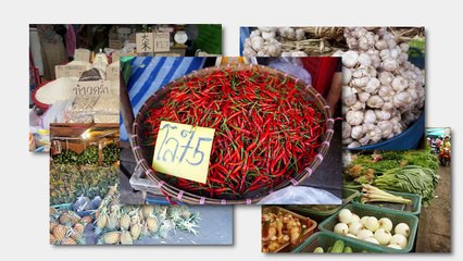 Aroy Aroy Thai Cooking School Spring Rolls