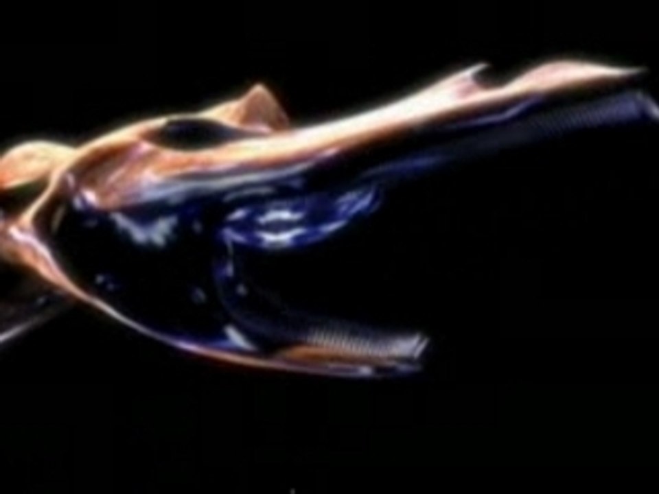 Skinny Puppy - Live - Part-2