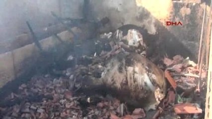 İnegöl Yanan Samanlıktaki Hayvanlar Telef Oldu