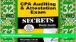 Big Deals  CPA Auditing   Attestation Exam Secrets Study Guide: CPA Test Review for the Certified