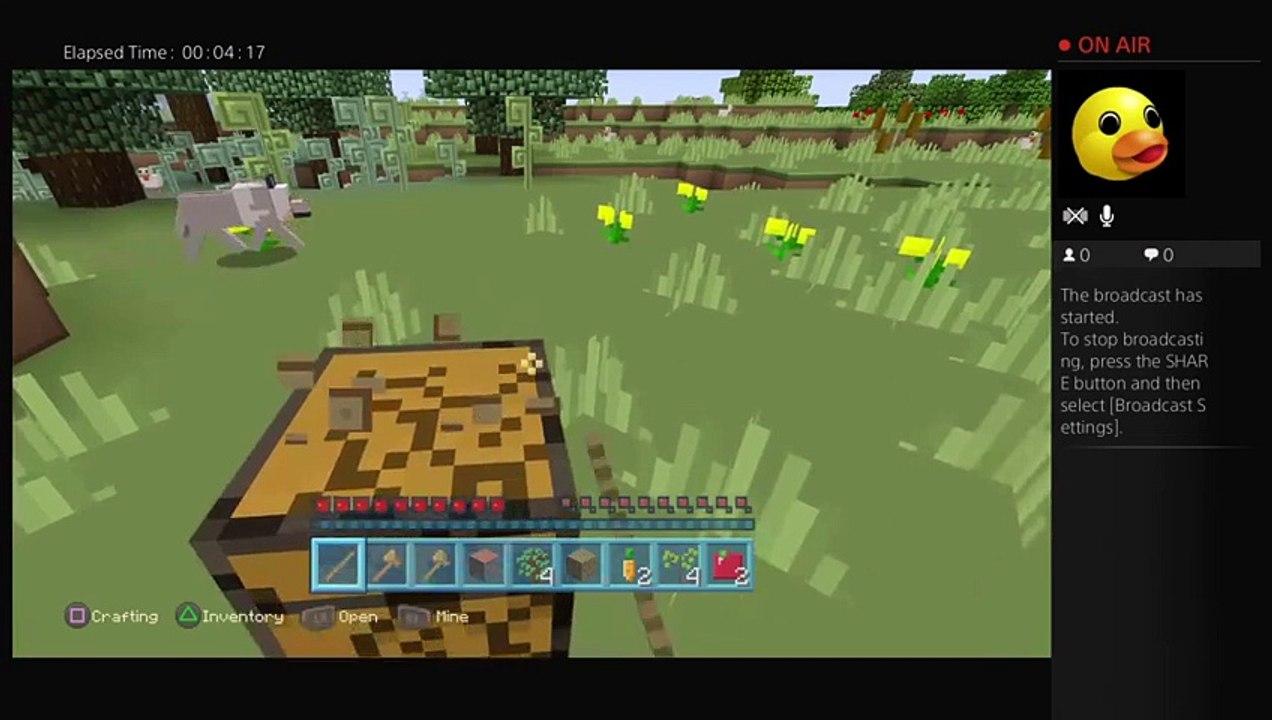 Minecraft (11)