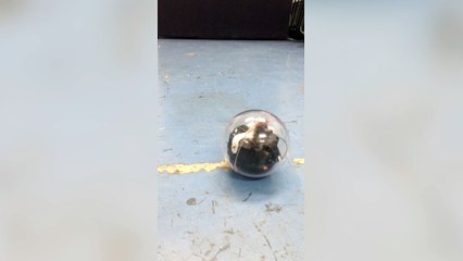 Test Driving The Orbii Security Camera