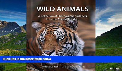 READ FREE FULL  Wild Animals - Alzheimer s / Dementia / Memory Loss Activity Book for Patients