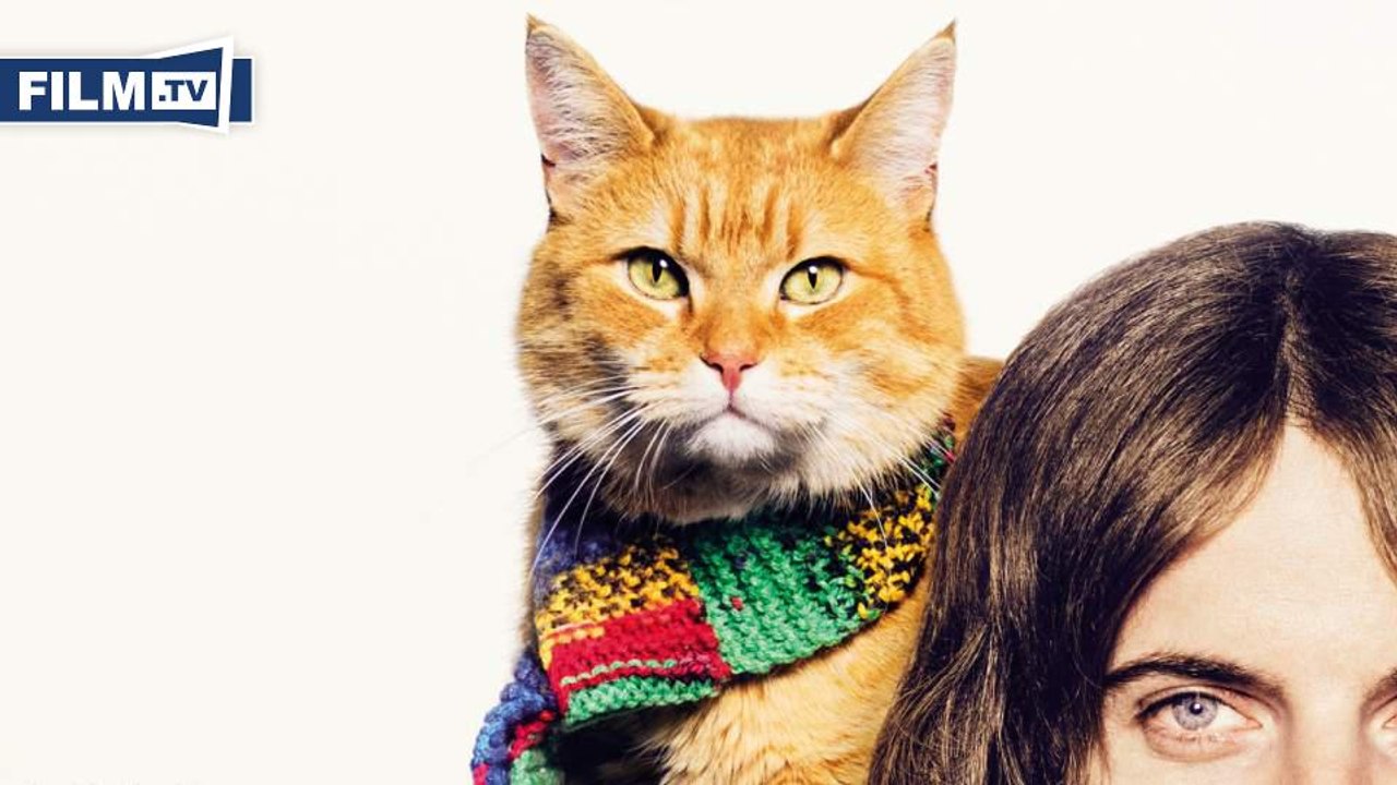 BOB DER STREUNER Trailer German Deutsch (2016) HD