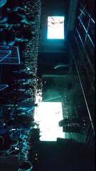 Dixie Chicks Dallas 2016 - Landslide