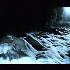 En salles le 30 juillet 2008