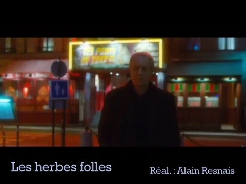 Les herbes folles VF sous-titrée anglais - Ext 3