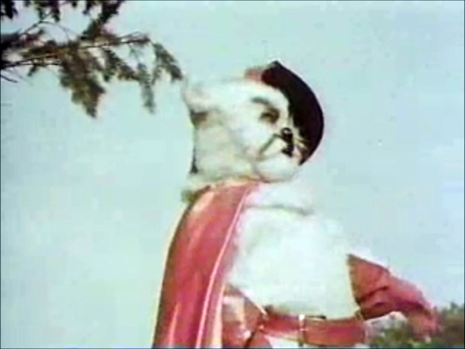 Santa and His Helpers in the Magical Enchanted Kingdom  12