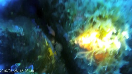 Avec Eragnole : Première plongée à 40 mètres