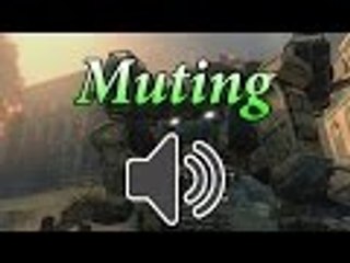 Muting Feature - BO3 INFO