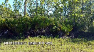 Land For Sale: 6161 W Baghdad St,  Dunnellon, FL 34433 | CENTURY 21