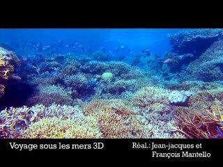 Voyage sous les mers 3 D VF - Ext 1